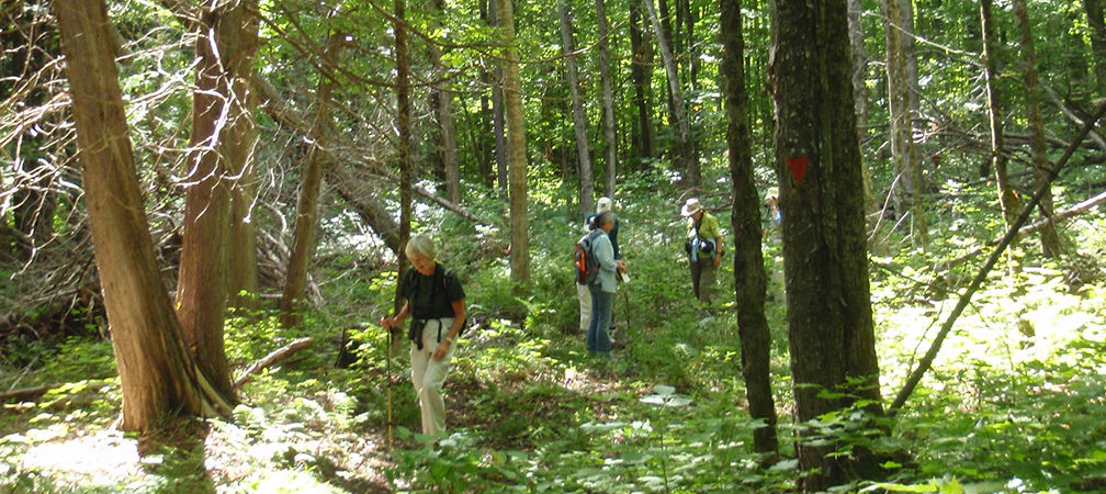 Altberg Wildlife Sanctuary hikers