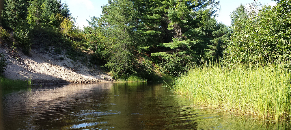 Bonnechere River