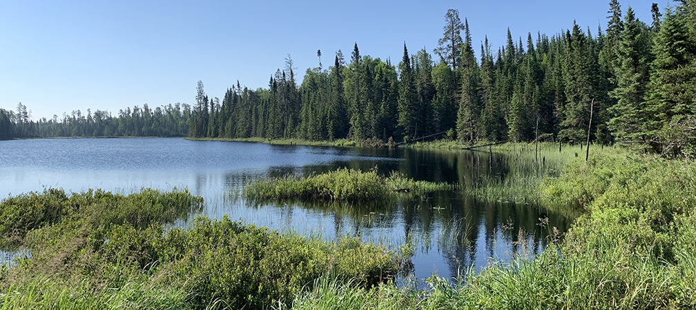Dog Lake, FSC DCL Designated Conservation Lands