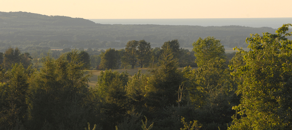 Grey County landscape