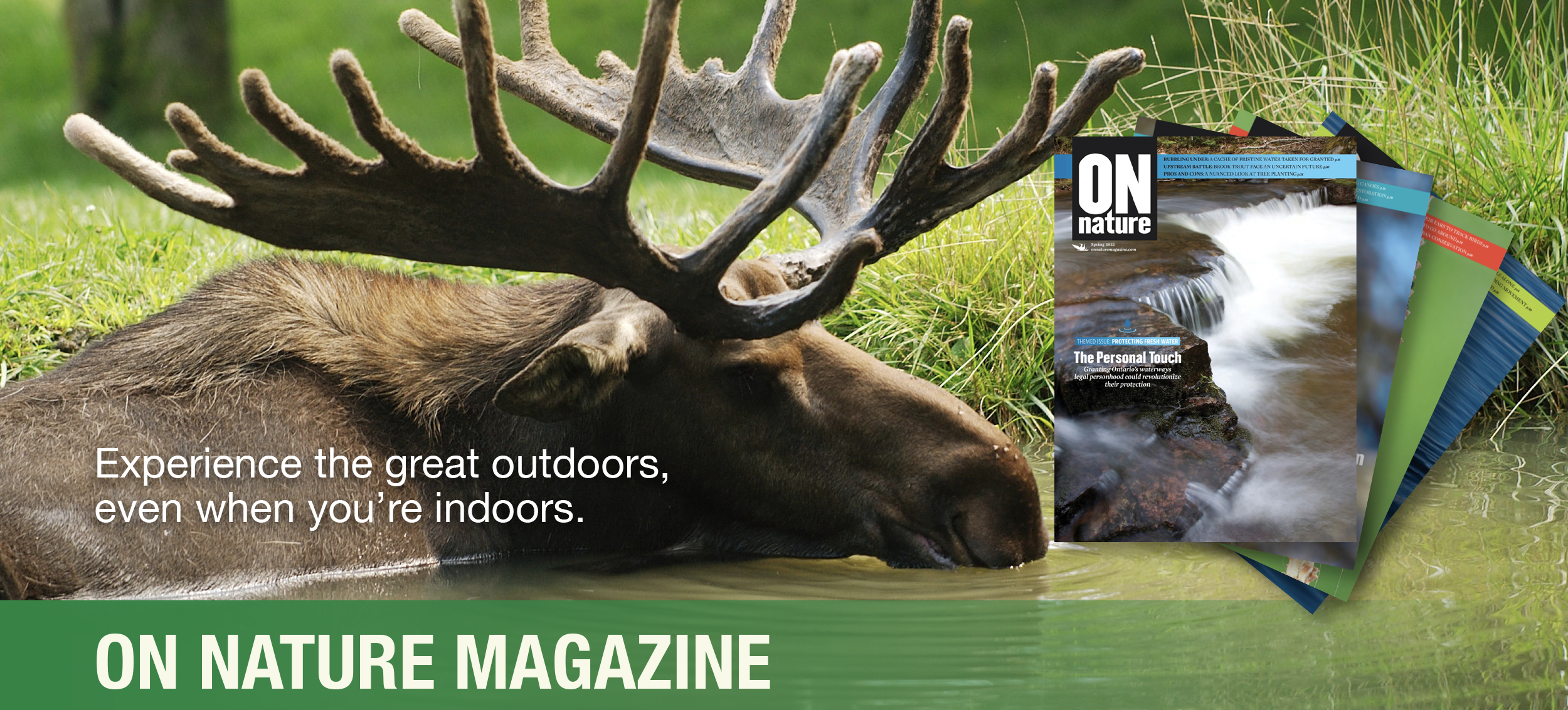 Subscribe to ON Nature magazine