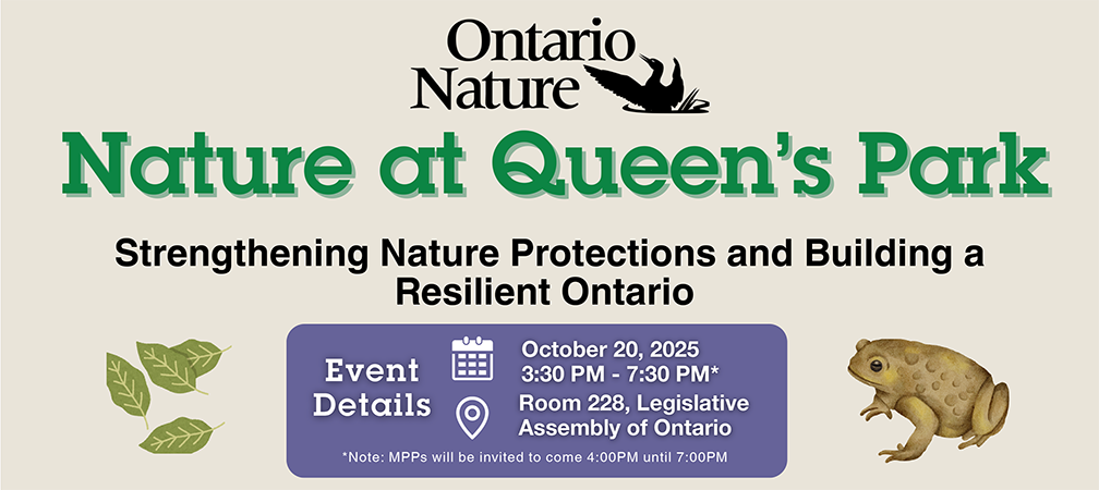 Nature at Queen's Park