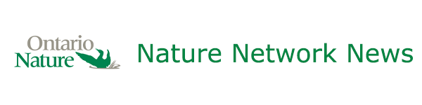 Nature Network News