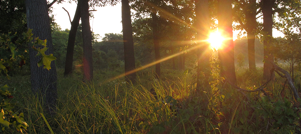 Ojibway Prairie Complex, Windsor