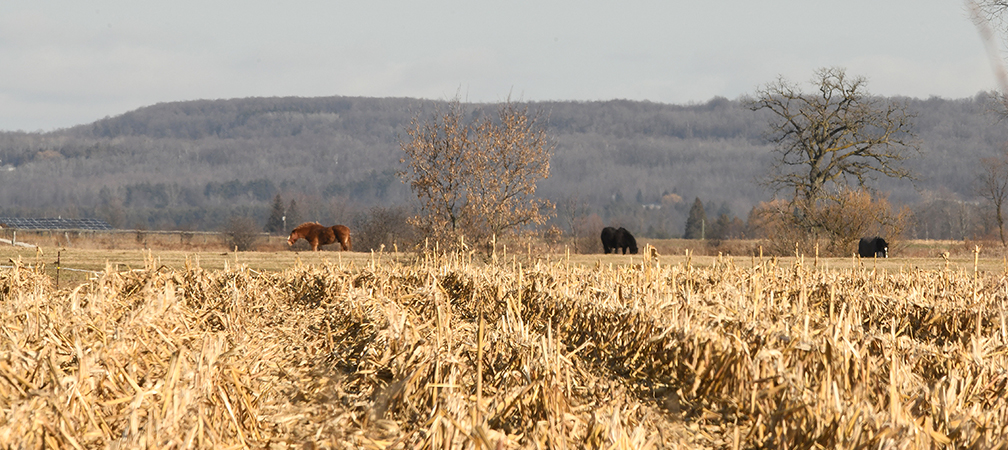 Niagara Escarpment, forest, watersheds, traditional farms, proposed Highway 413 route