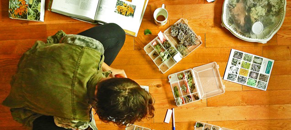 Ontario Master Naturalist Program