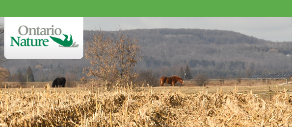 Niagara Escarpment, farm, horses, watersheds, Stop the 413, proposed Highway 413 route
