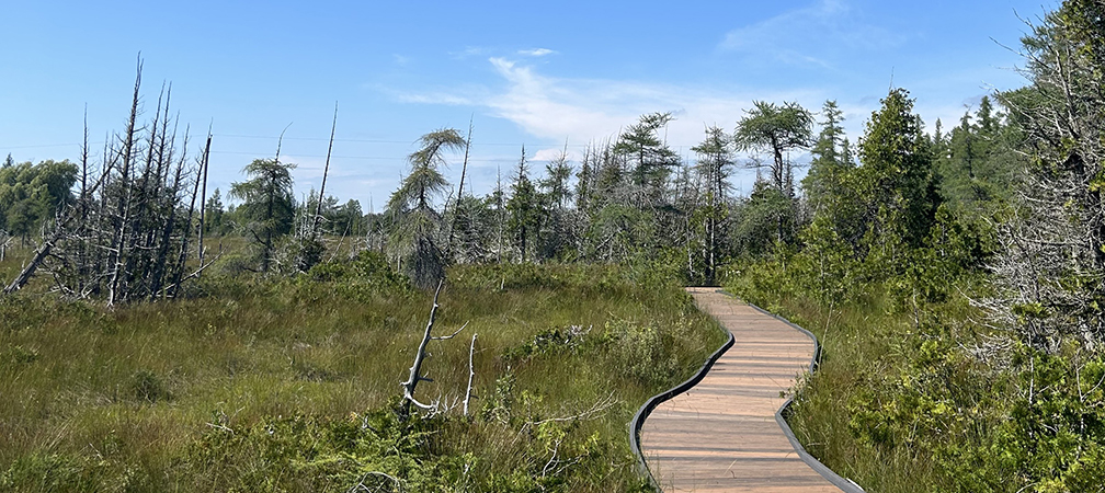 Petrel Point Nature Reserve