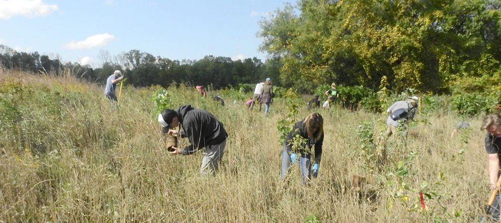 Sydenham River Nature Reserve tree planting event