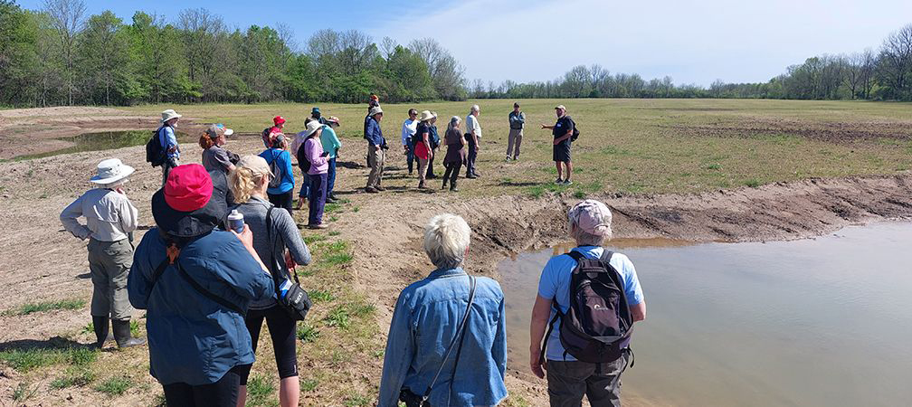 Sydenham River Nature Reserve, MacSorley Parcel, habitat restoration