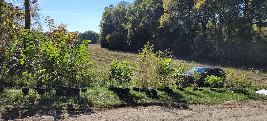 Sydenham River Nature Reserve fall planting