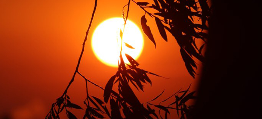 Sunset scavenger hunt, credit: Karli S.