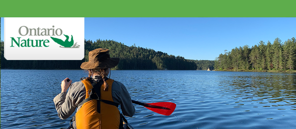 Wolf Lake canoe trip