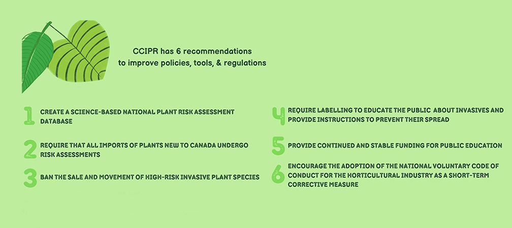 ccipr invasive plant removal recommendations