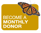 Monthly donor button